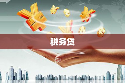 周至税务贷