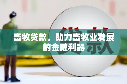 周至畜牧贷款，助力畜牧业发展的金融利器