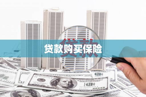 周至贷款购买保险