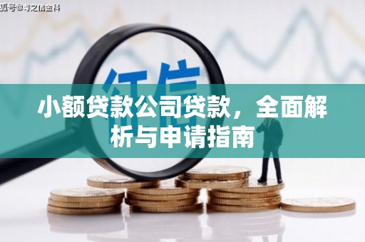 周至小额贷款公司贷款，全面解析与申请指南
