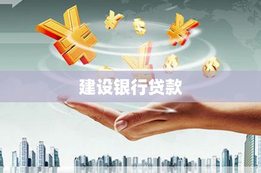 周至建设银行贷款