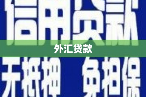 周至外汇贷款
