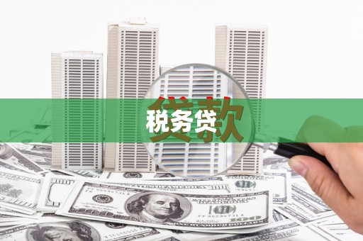 周至税务贷