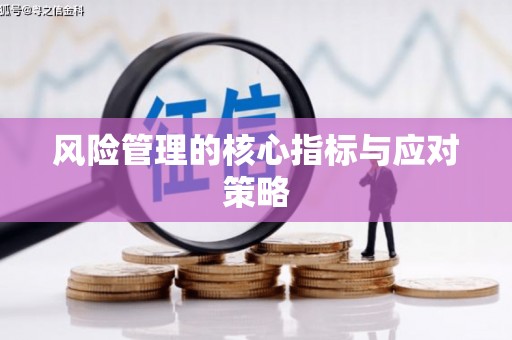 周至风险管理的核心指标与应对策略