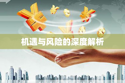 周至机遇与风险的深度解析