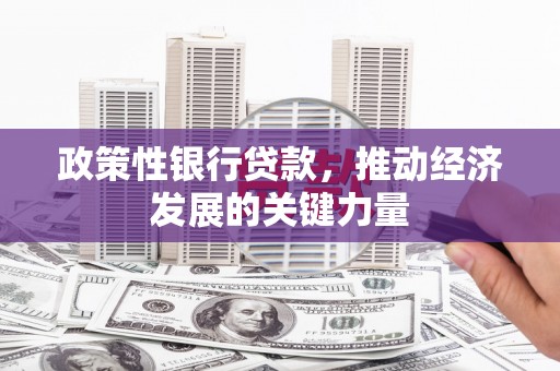 周至政策性银行贷款，推动经济发展的关键力量