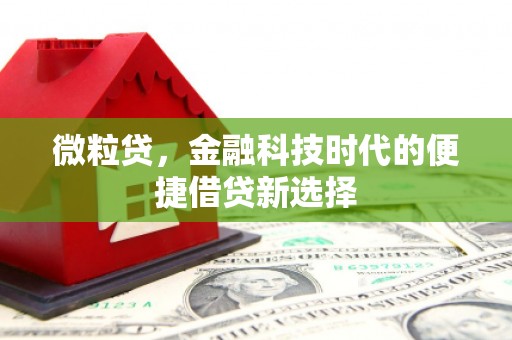 周至微粒贷，金融科技时代的便捷借贷新选择