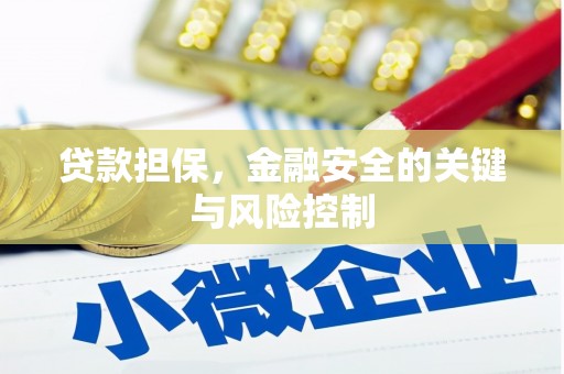 周至贷款担保，金融安全的关键与风险控制