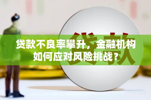 周至贷款不良率攀升，金融机构如何应对风险挑战？
