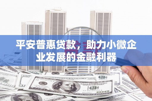 周至平安普惠贷款，助力小微企业发展的金融利器