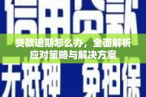 周至贷款逾期怎么办，全面解析应对策略与解决方案