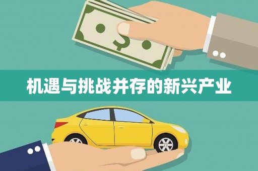 周至机遇与挑战并存的新兴产业