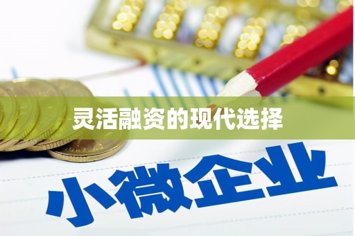 周至灵活融资的现代选择