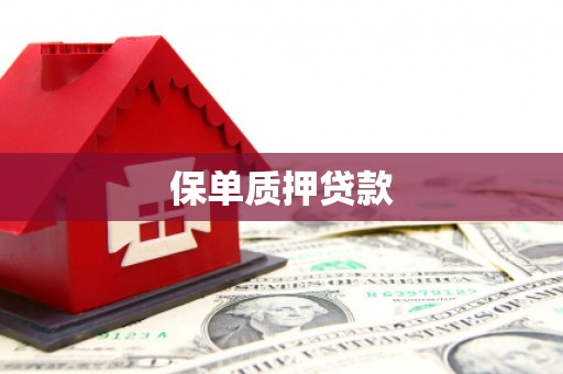 周至保单质押贷款