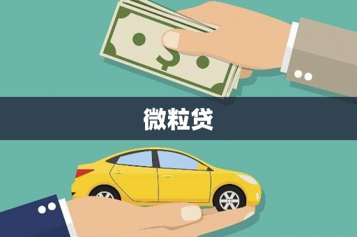 周至微粒贷